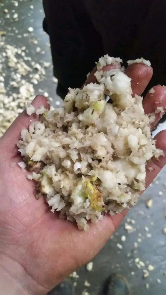 Chopped Beet - Delivery included - Image 3