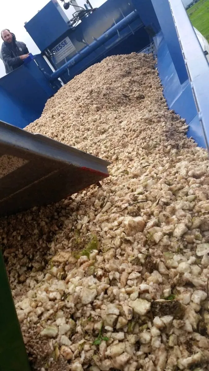 Chopped Beet - Delivery included - Image 4