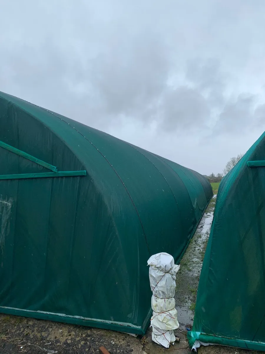 Sheds or tunnels - Image 2