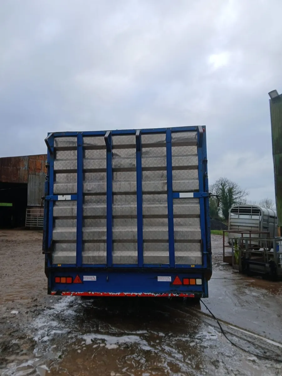 20ft lynch cattle trailer - Image 2