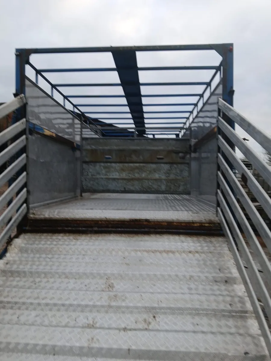 20ft lynch cattle trailer - Image 4
