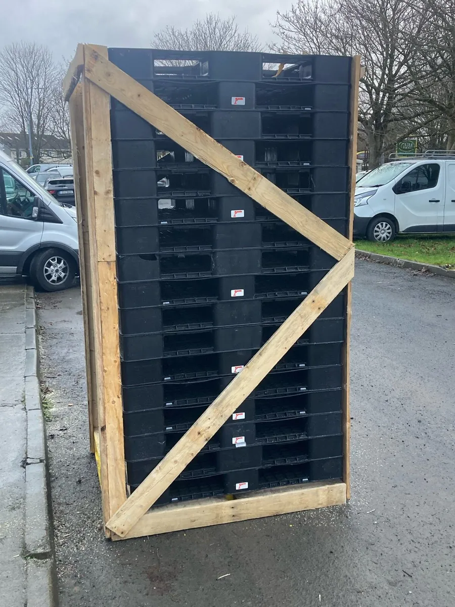 Plastic pallets for fencing & bank reinforcement - Image 2