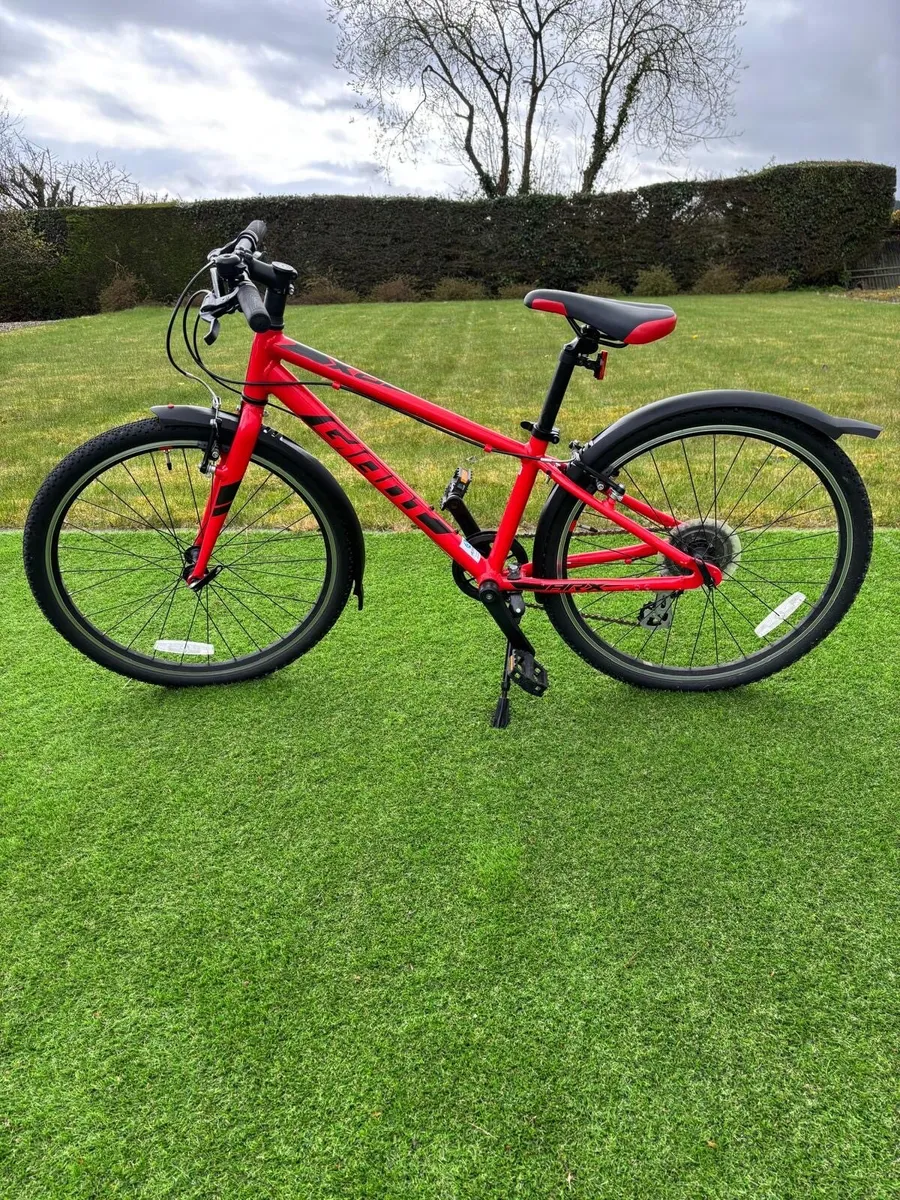 Giant ARX 24 Kids Bike - Red - Image 1