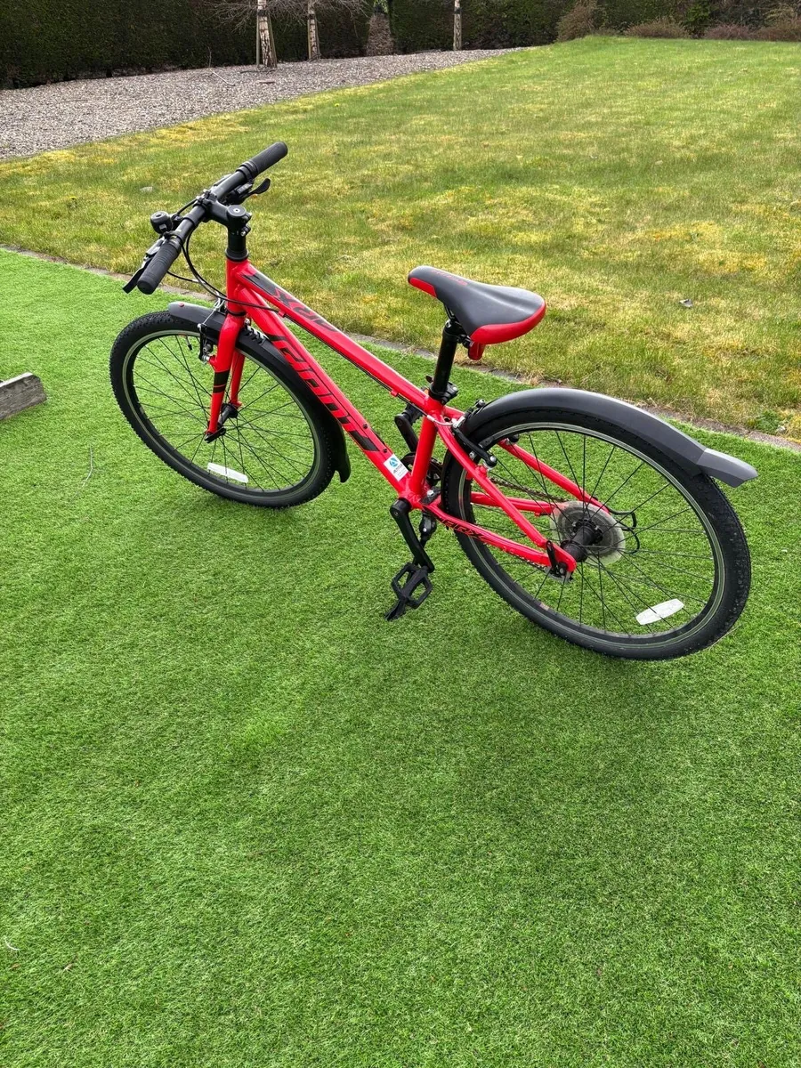 Giant ARX 24 Kids Bike - Red - Image 2