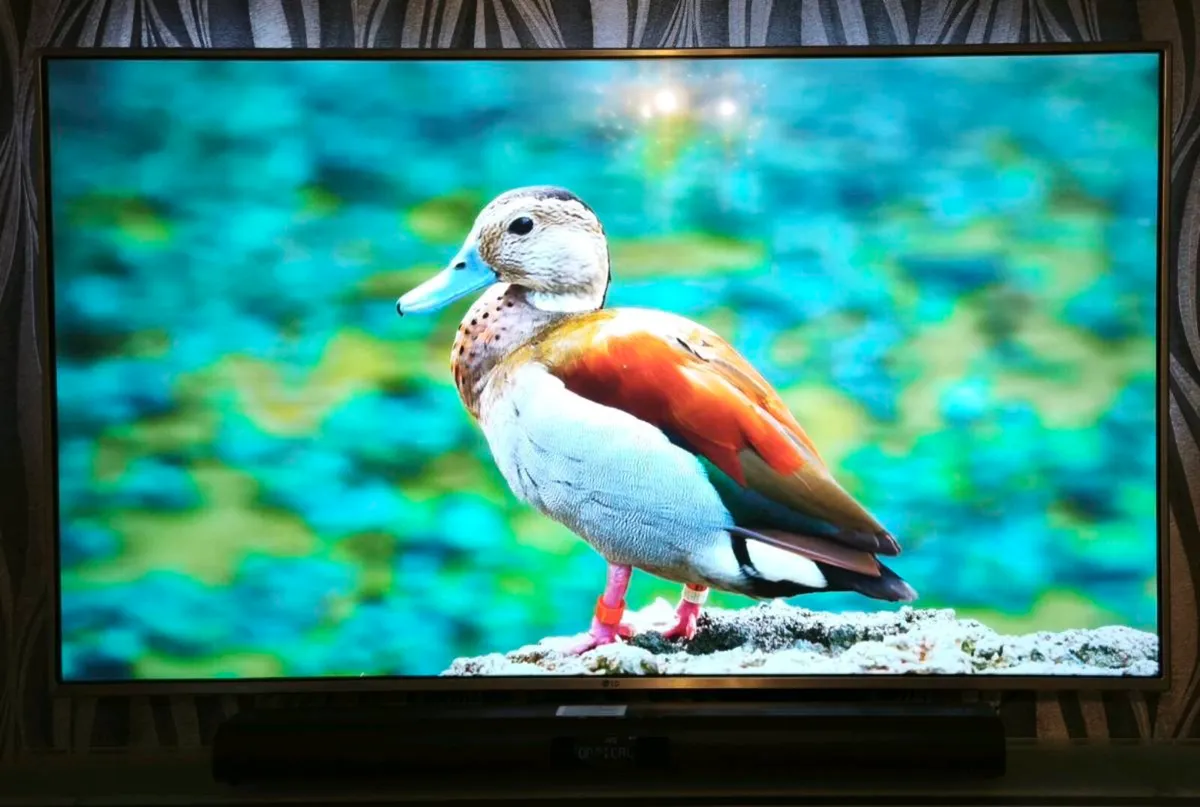 LG Smart 55"TV - Image 1