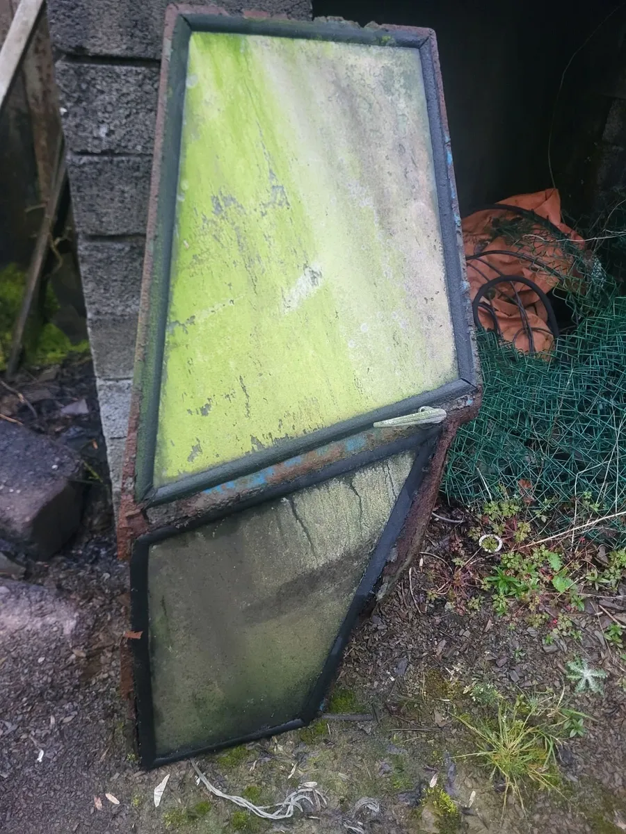 Ford AP/LP Door with glass - Image 1