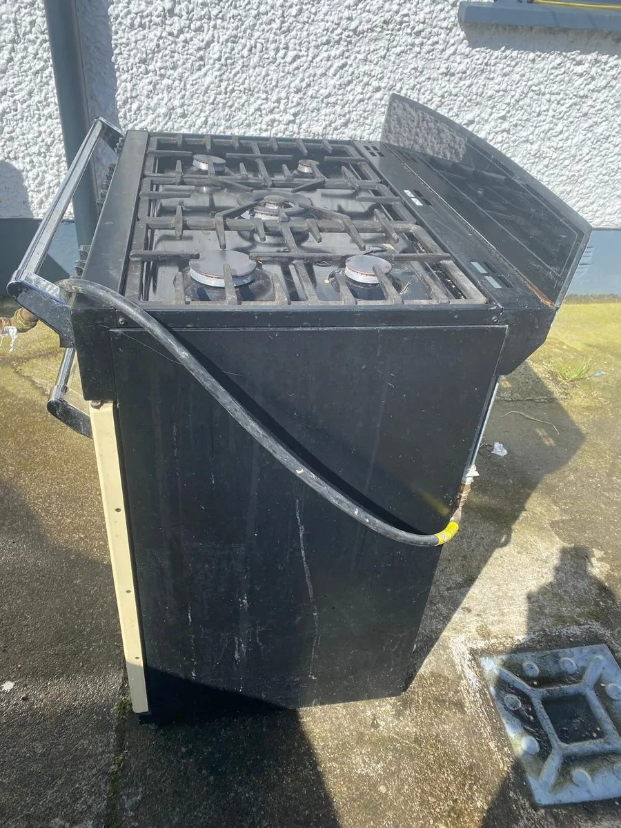 Duel fuel cooker - Image 3