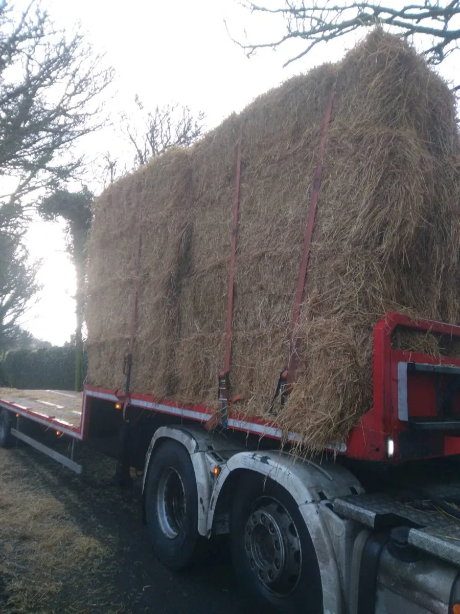 Hay & Straw