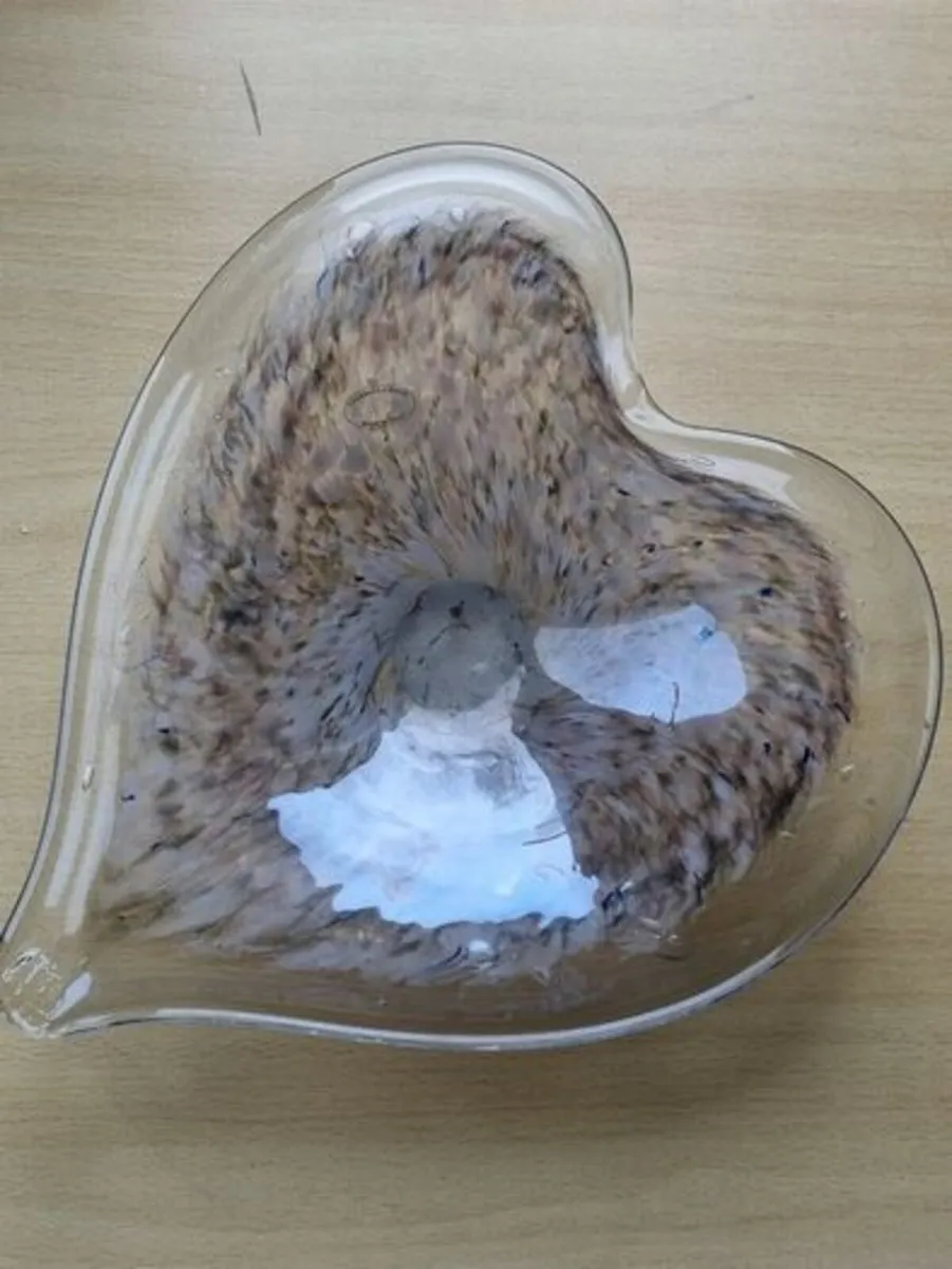 Murano glass plate - Image 4