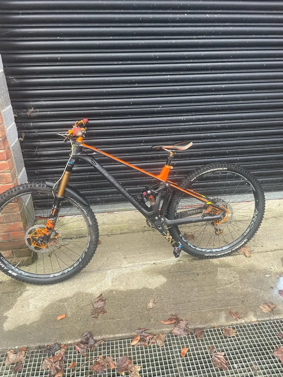 Mountain bike - Image 1