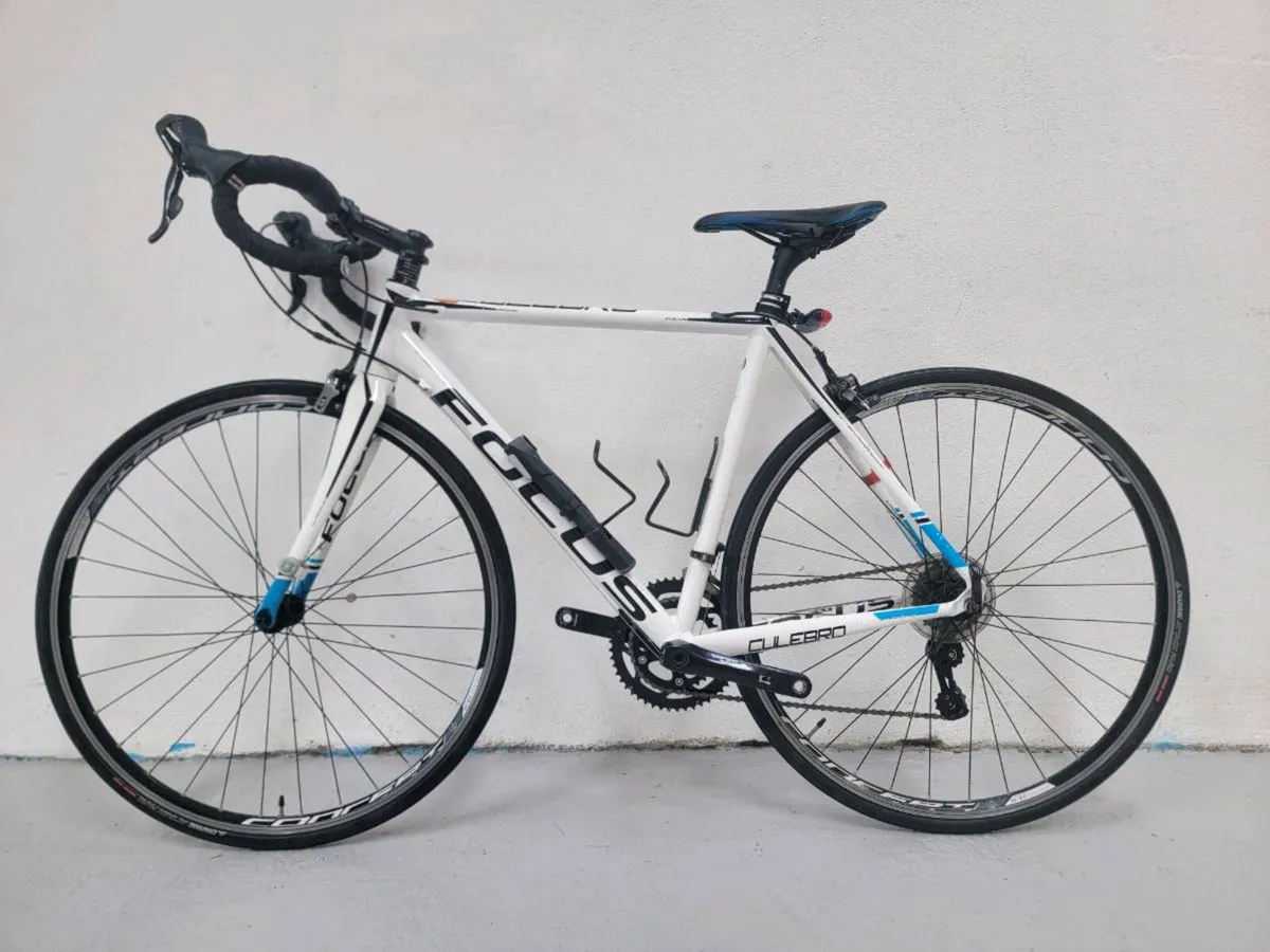 Focus culebro - Image 1