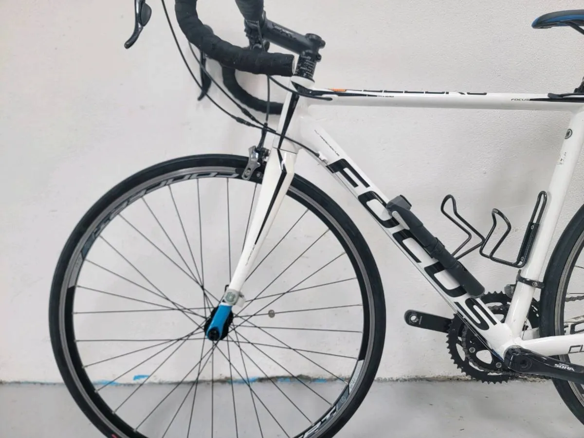 Focus culebro - Image 3