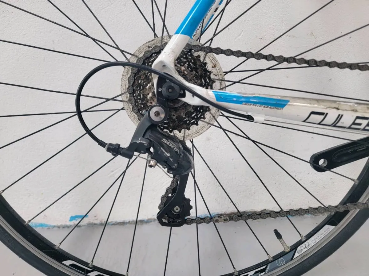 Focus culebro - Image 4