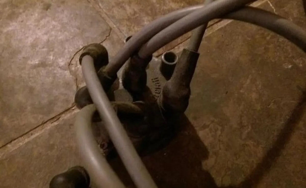 Ford Sierra / Granada 2.9 v6 Distributor - Image 2