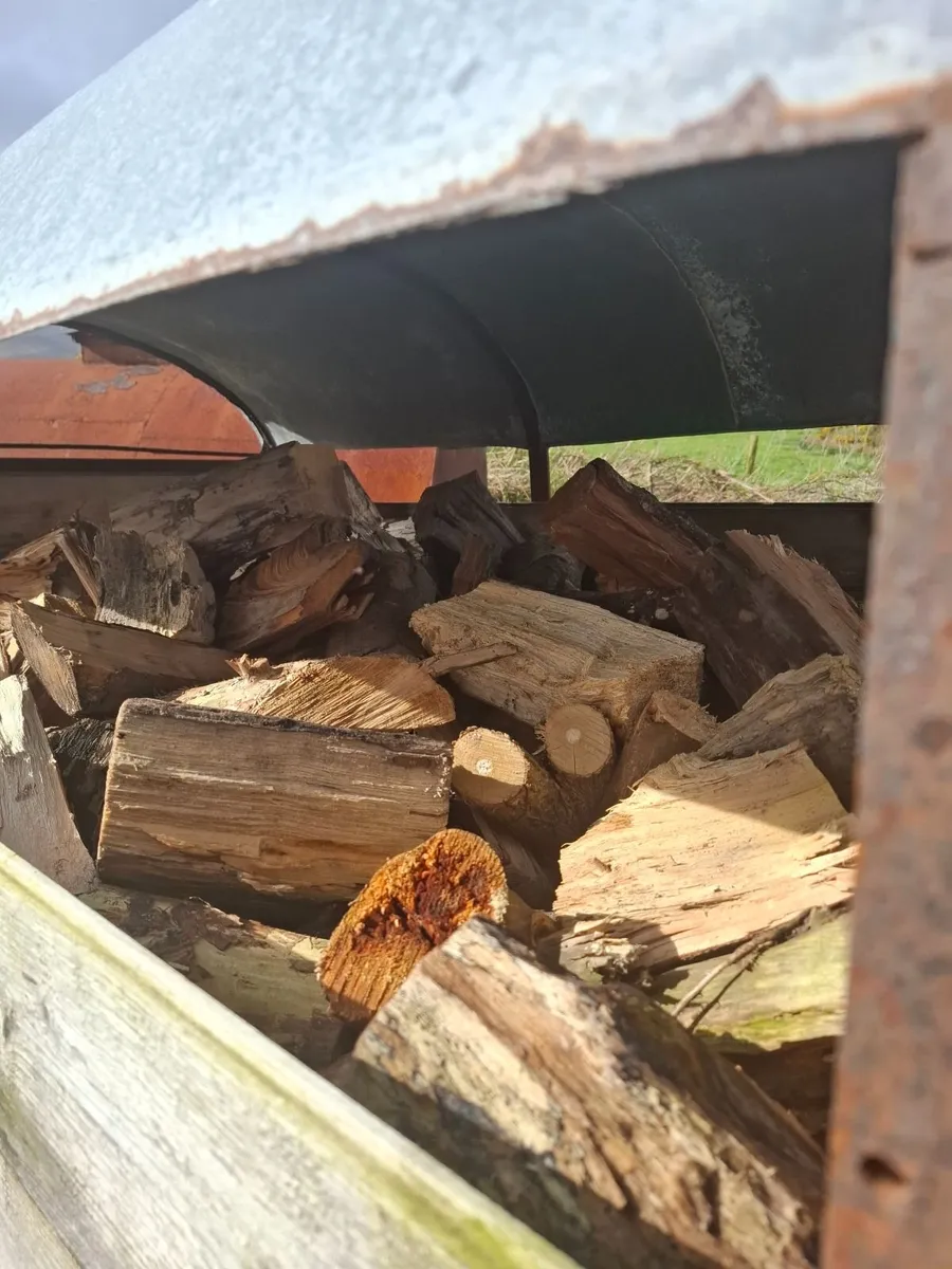 Firewood - Image 1