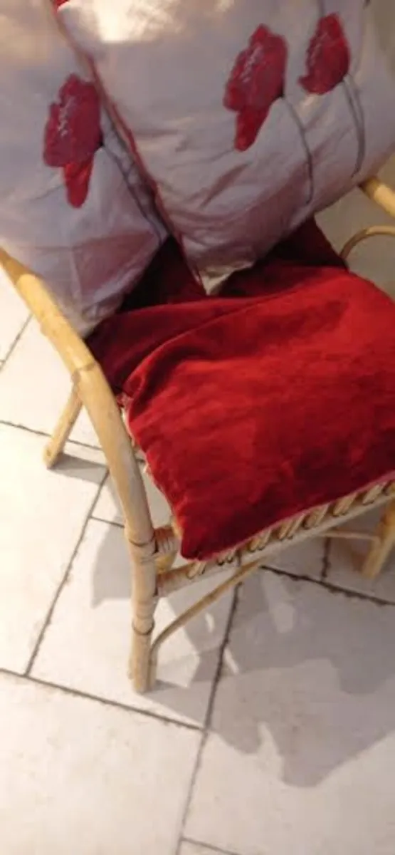 Single cane chair - Image 2