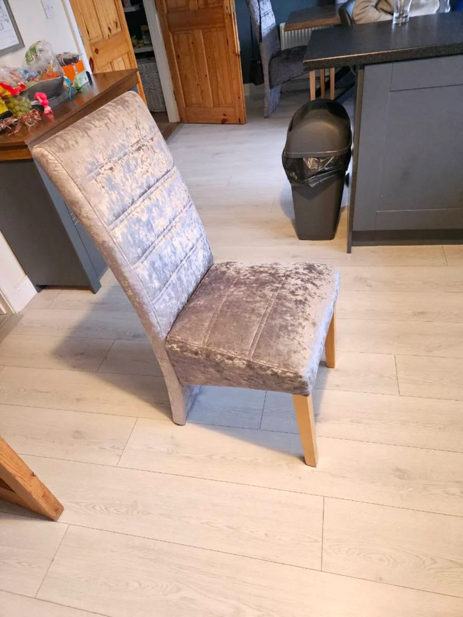 Dining chairs - Image 1