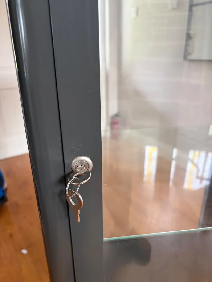 Glass Door Cabinet - Image 3