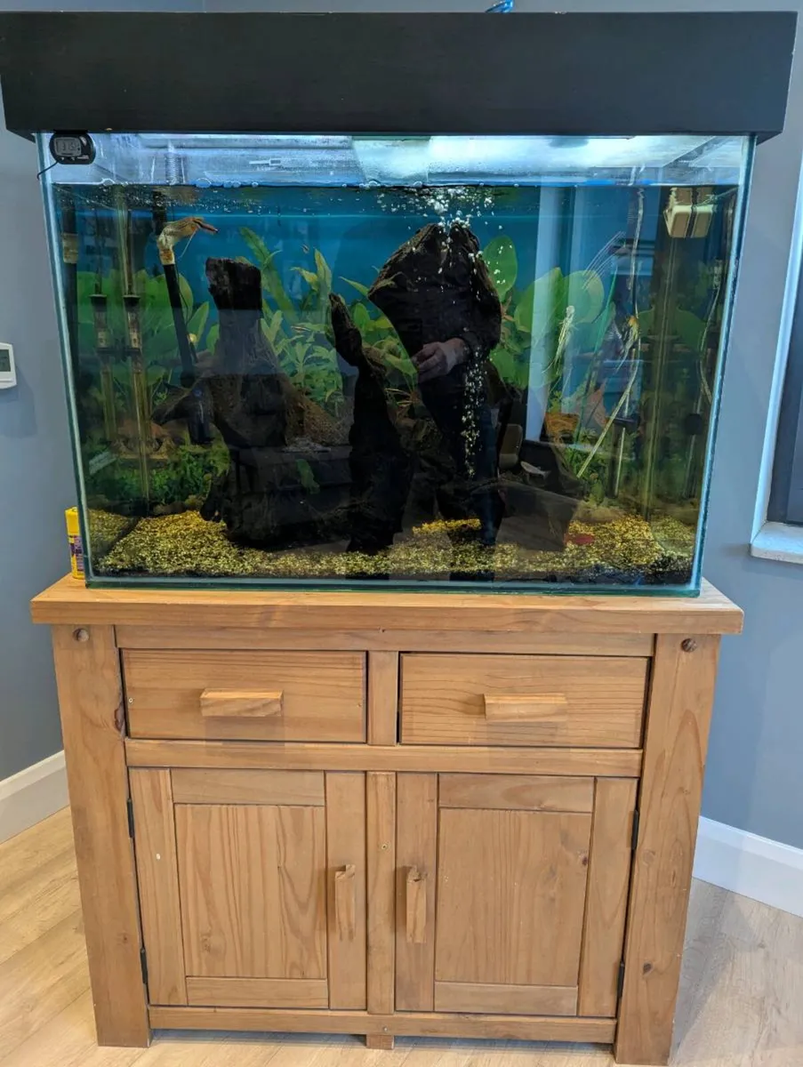 Aquarium - complete setup - Image 1