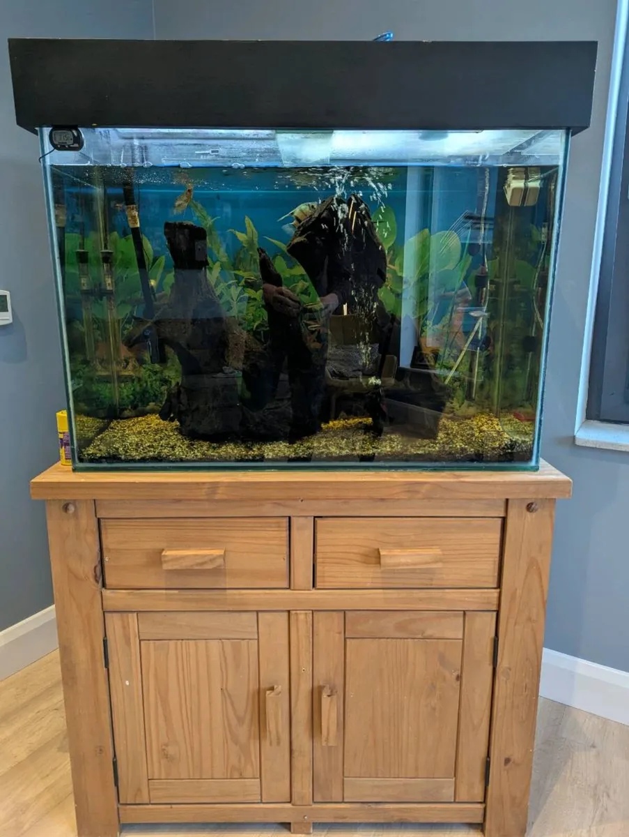 Aquarium - complete setup - Image 2