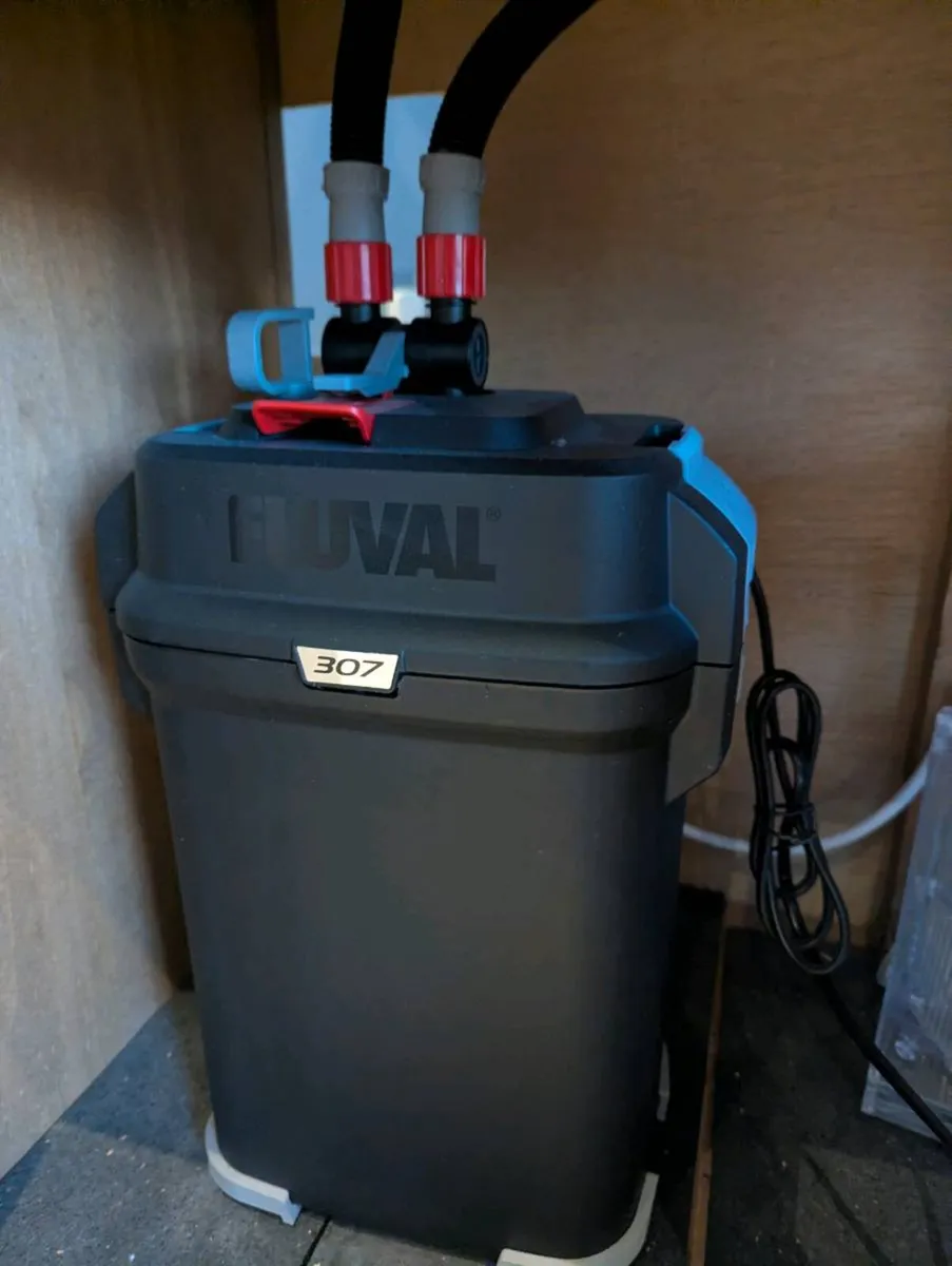 Aquarium - complete setup - Image 4