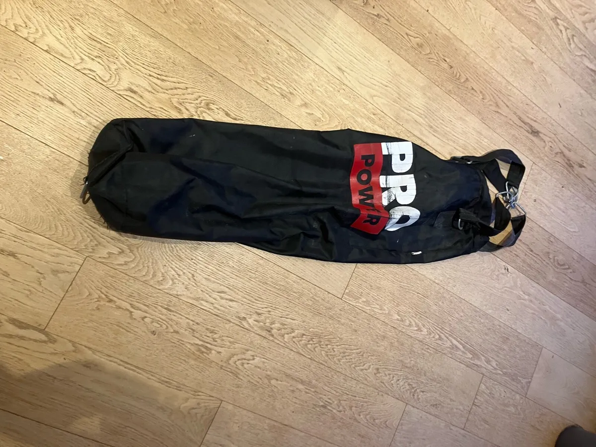 Punch bag and hanger - Image 1