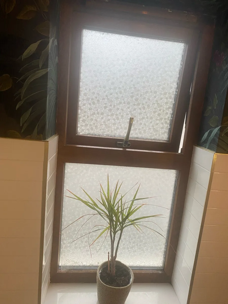 uPVC Double Glazed Windows - Image 4