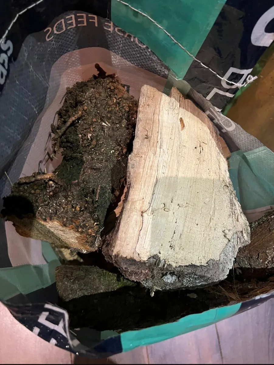 Firewood 🪵 for sale (3yrs dried +) - Image 2