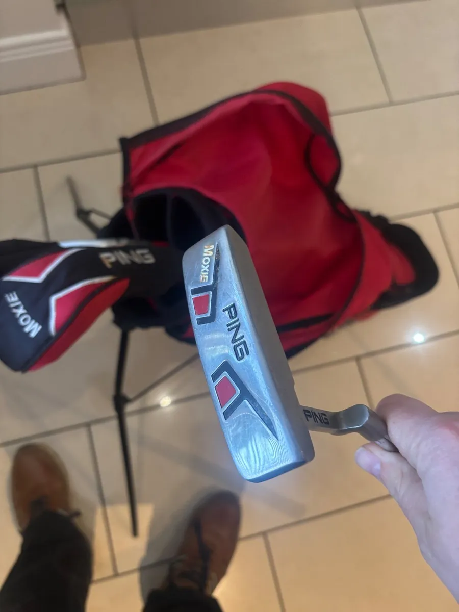 Ping Junior Golf Clubs - Image 4