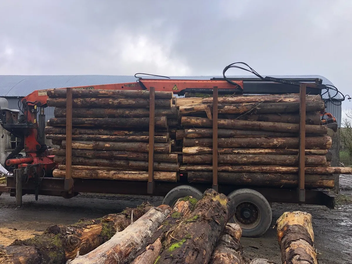 Firewood logs - Image 3