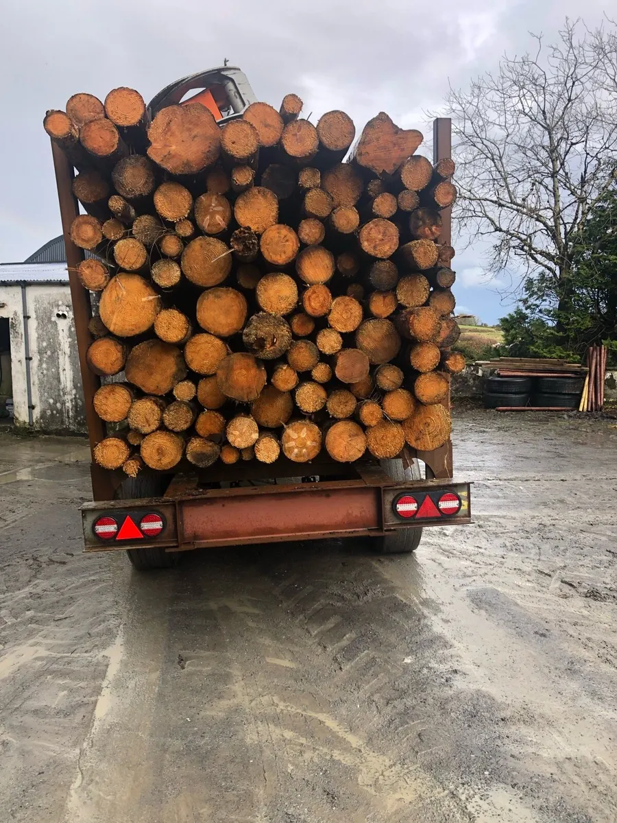 Firewood logs - Image 4