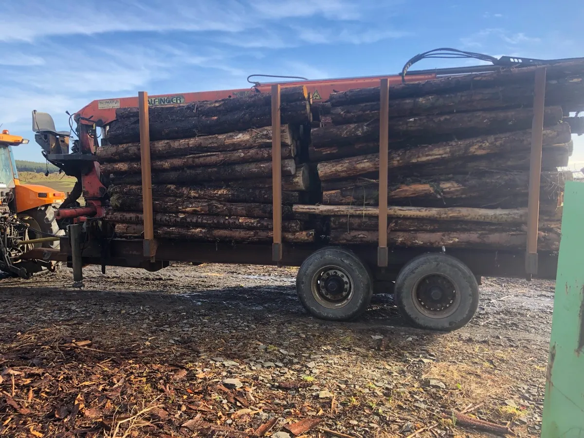 Firewood logs - Image 1