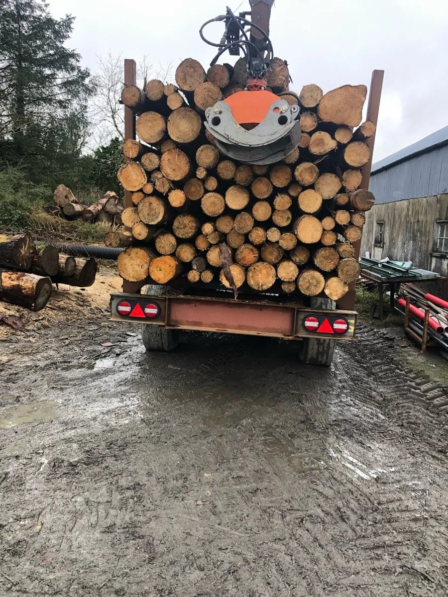 Firewood logs - Image 2