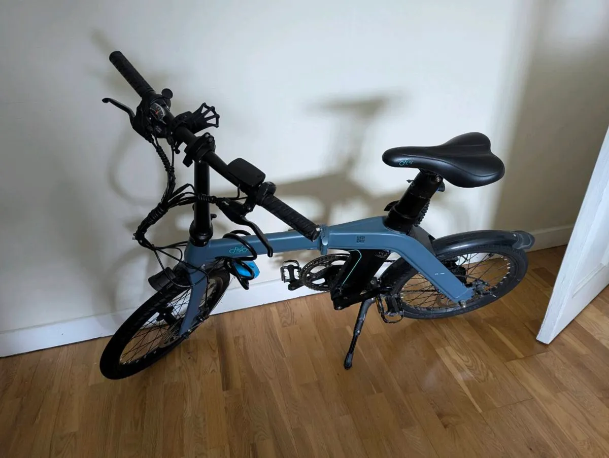 Fiido D11 Electric Bike - Image 1