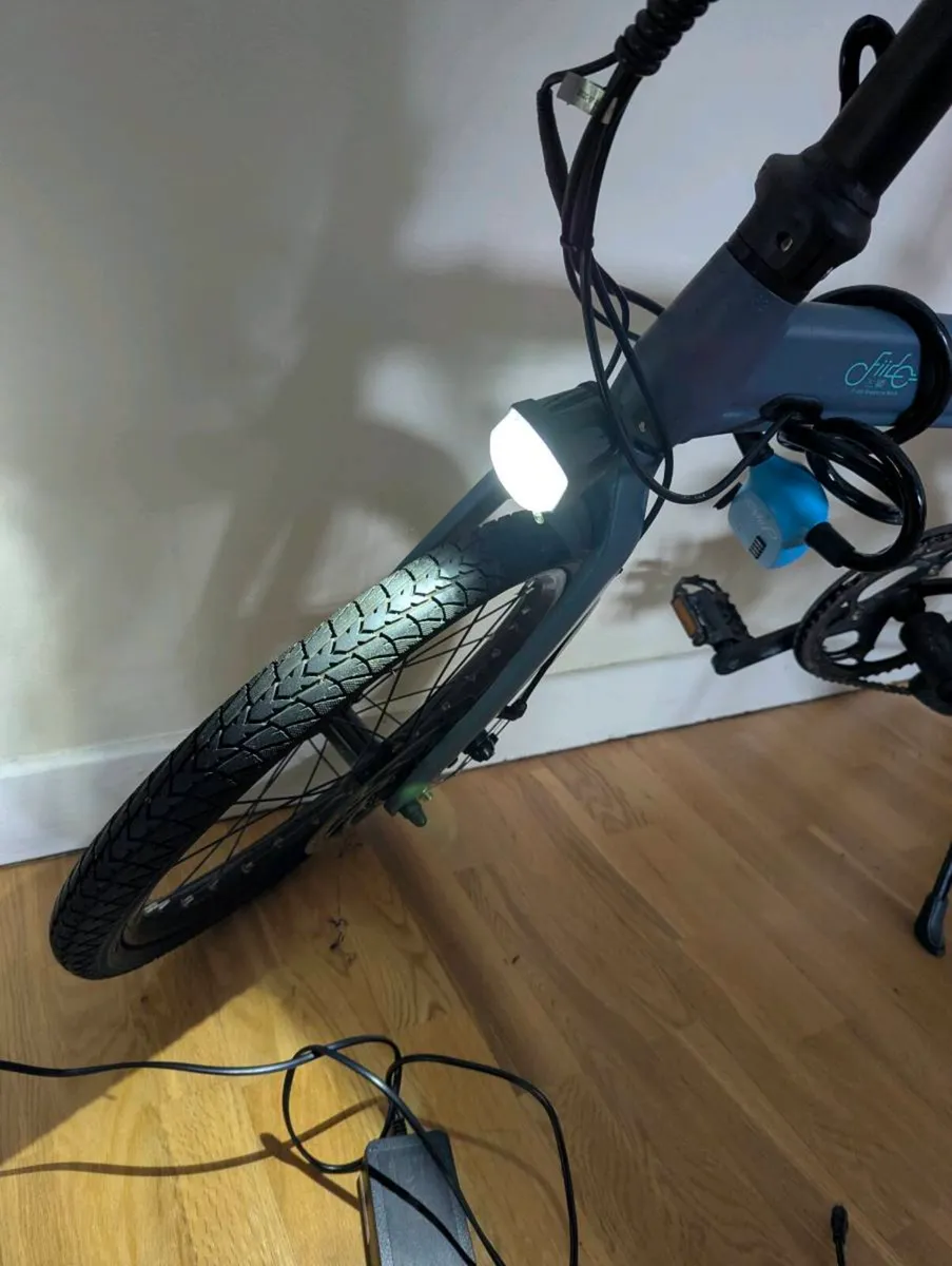 Fiido D11 Electric Bike - Image 2