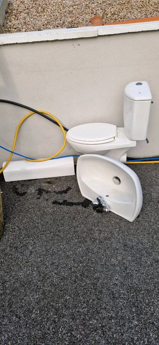 Toilet and sink with pedestal