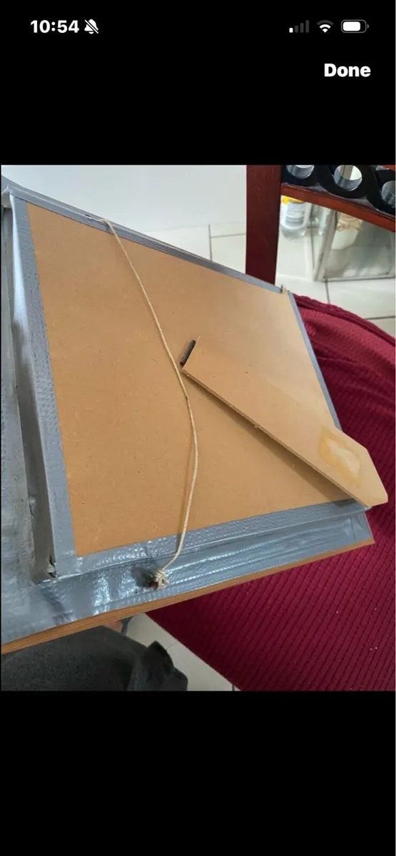 3 D Clown picture- Rabbit out of Hat - Image 4