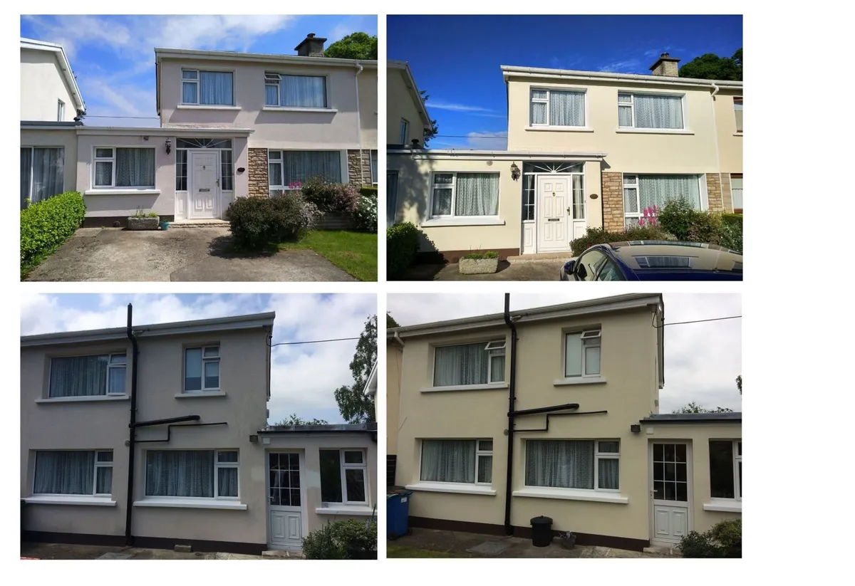 Affordable Painting & Home Repairs – Dublin - Image 2