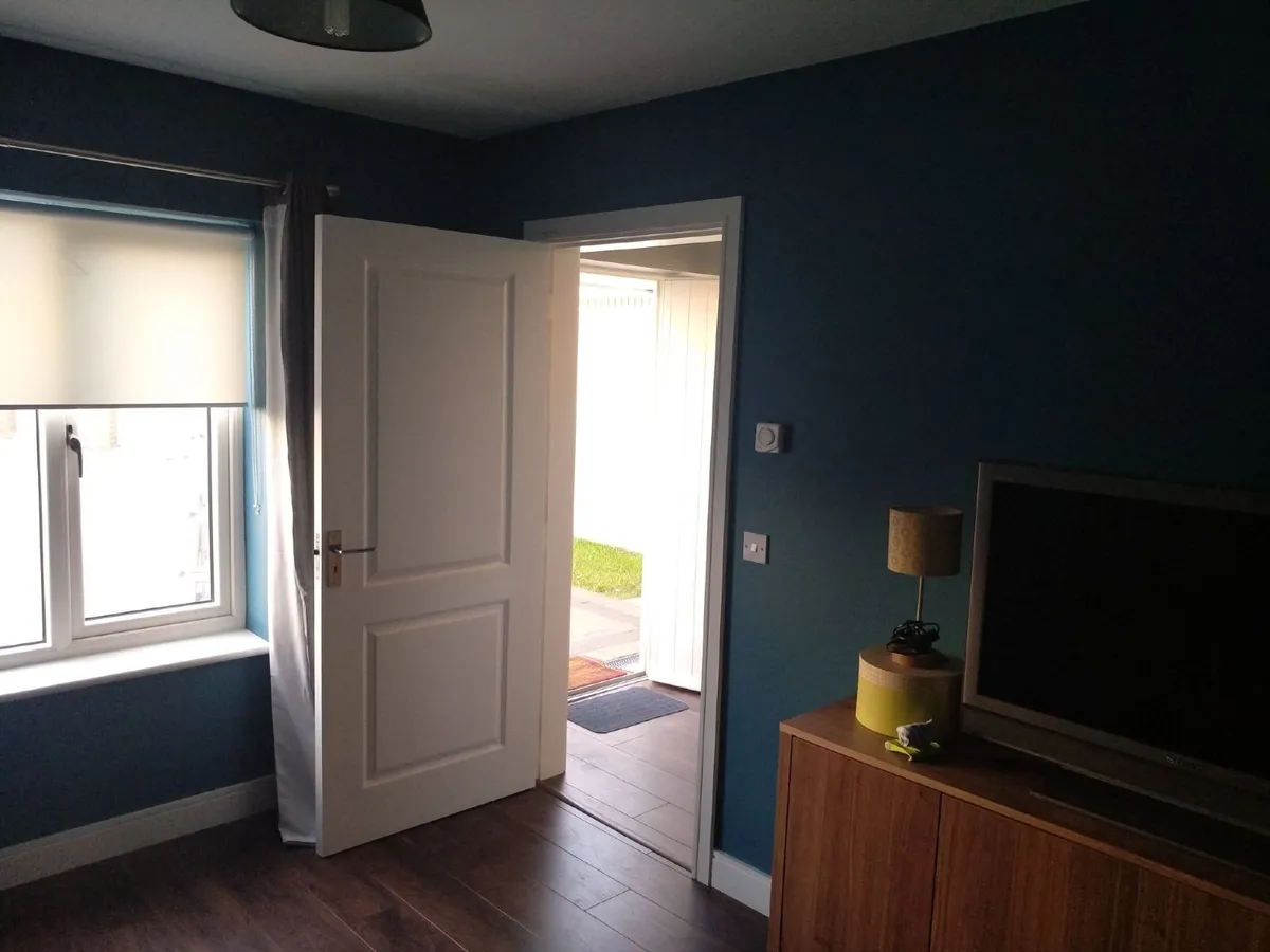 Affordable Painting & Home Repairs – Dublin - Image 4