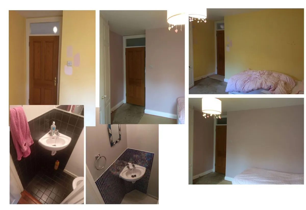 Painting, Laminate Flooring & Furniture Assembly – - Image 1