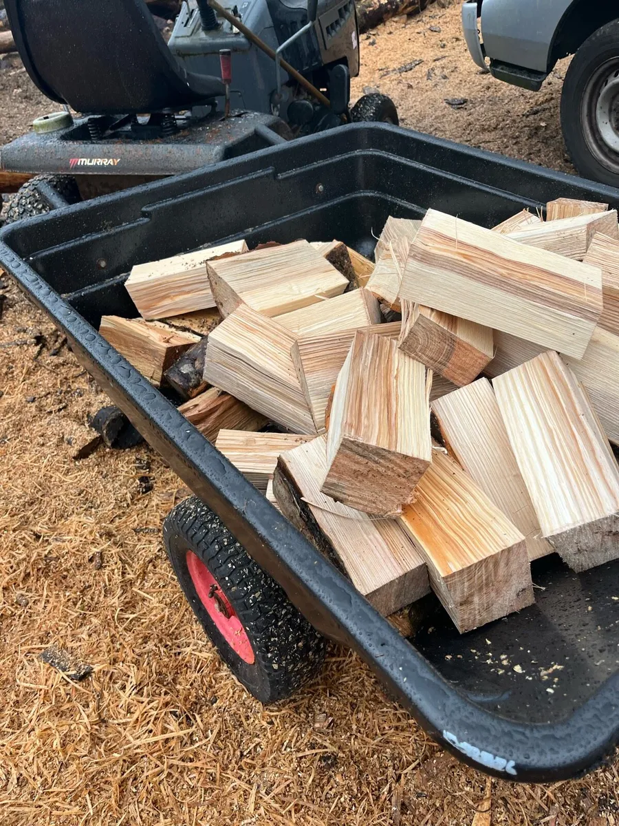 Garden trailer and tractor - Image 2