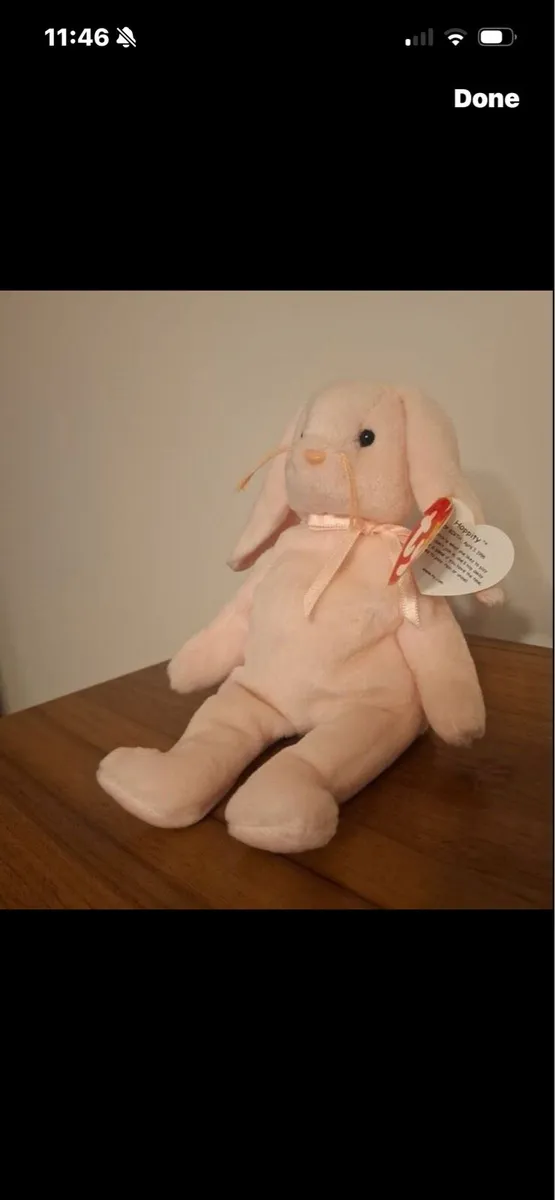 Very Rare & Retired Beanie -Hoppidy - Image 2