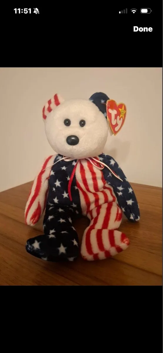 Rare & Retired Beanie with Errors-Spangle - Image 1