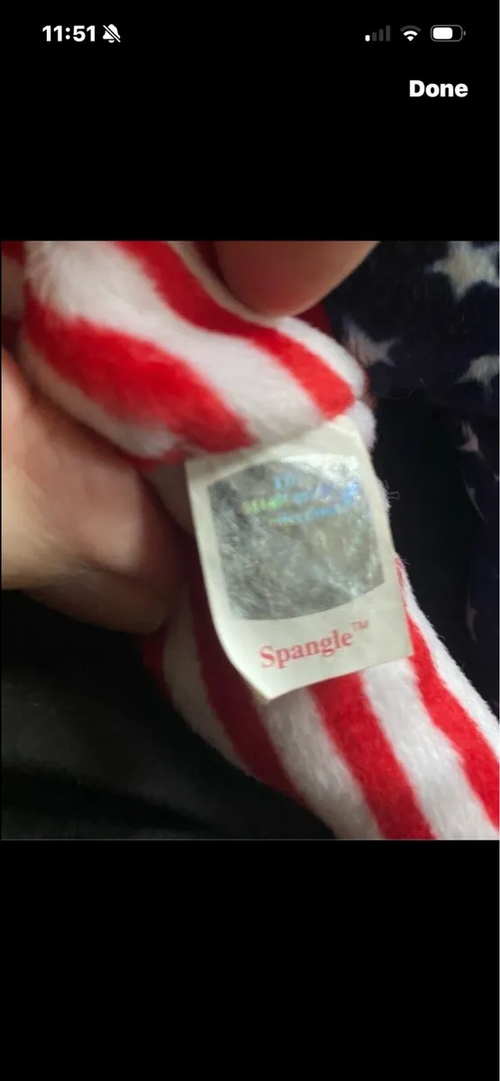 Rare & Retired Beanie with Errors-Spangle - Image 4