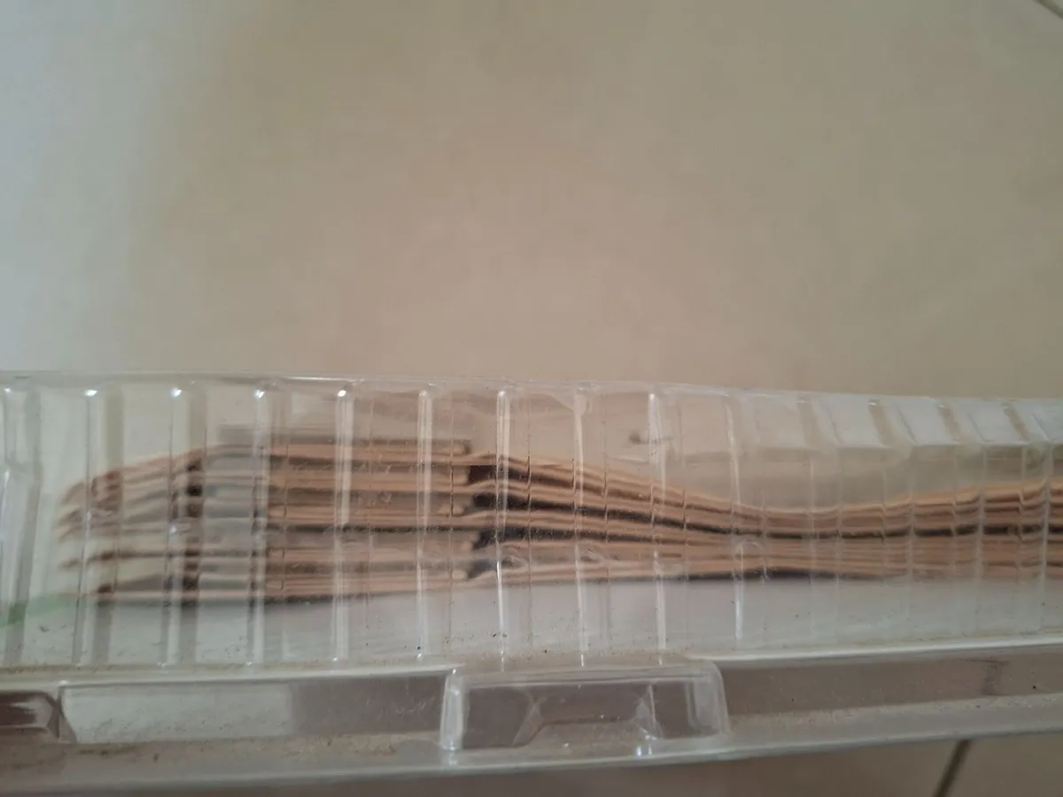 Festool Turbofiltro TF-RS 15 + P180 sanding pads - Image 1