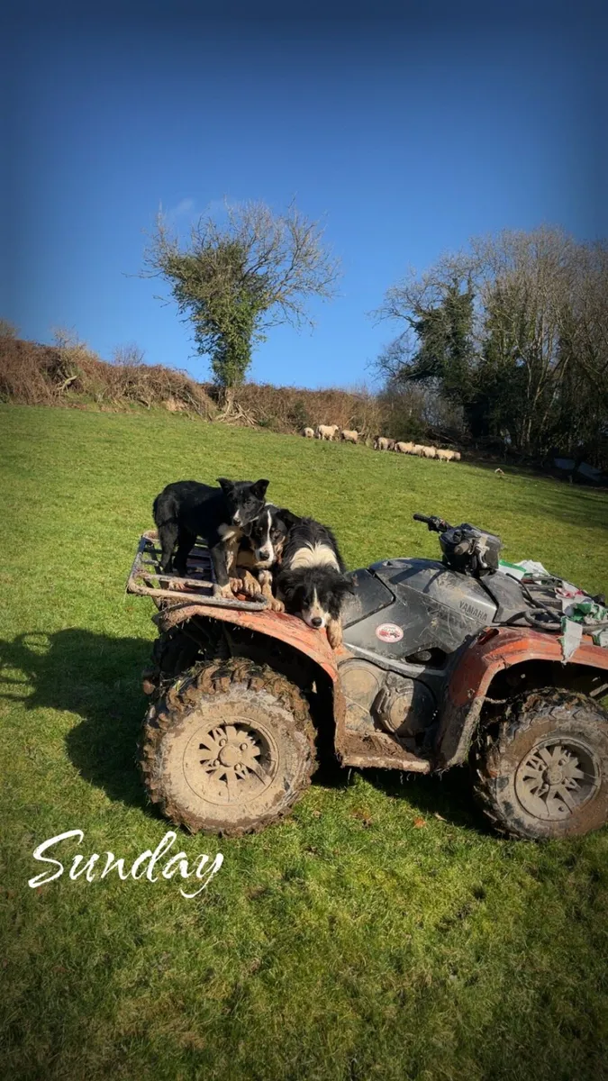 Ground wanted - Image 1