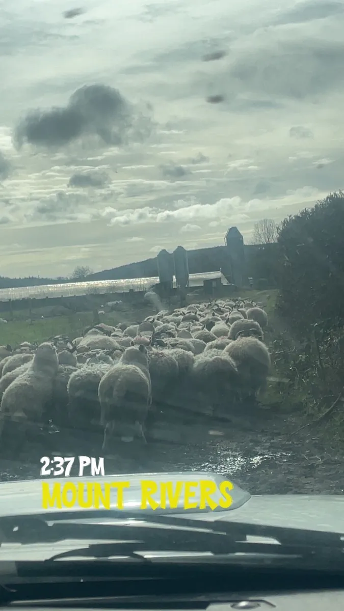 Ground wanted - Image 3