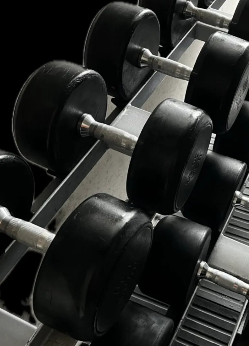 Dumbbells round rubber 2e per kg - Image 3