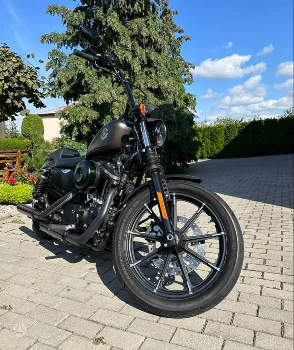 Harley Davidson sportster XL 883 🖤 - Image 1