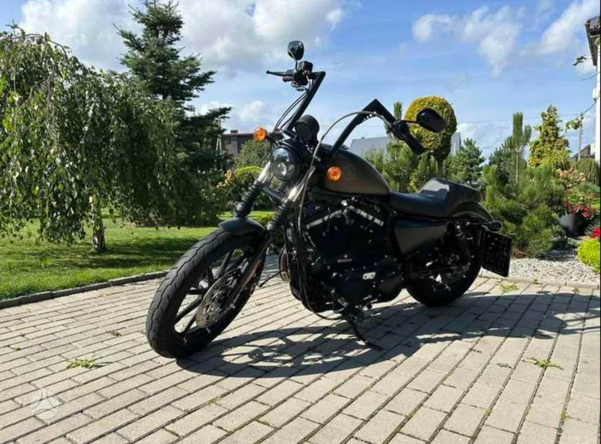 Harley Davidson sportster XL 883 🖤 - Image 2